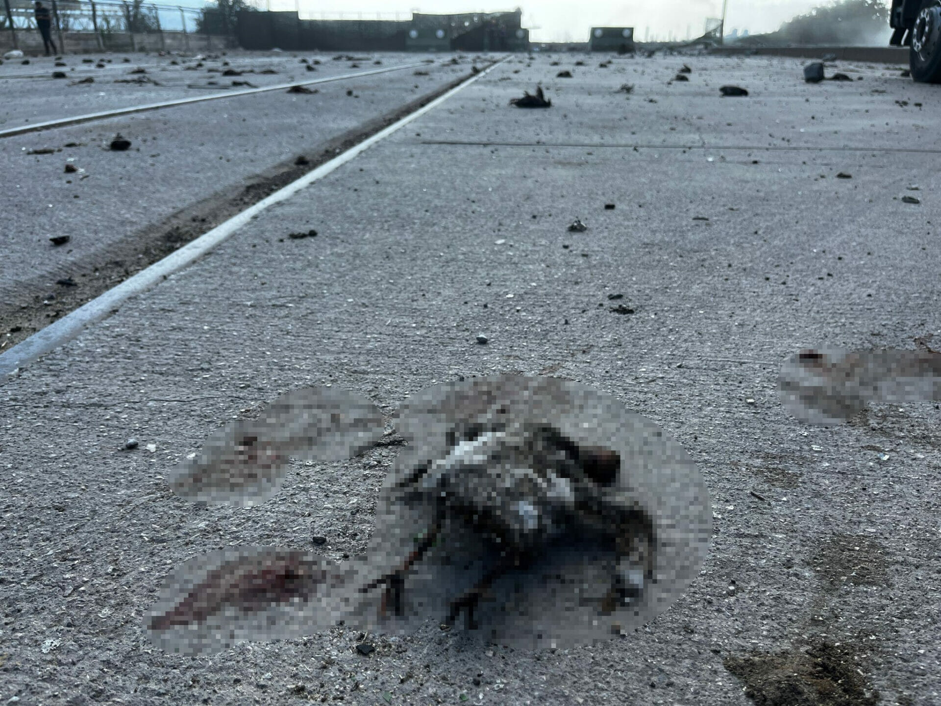Patlamada kuşlar telef oldu - Resim : 2