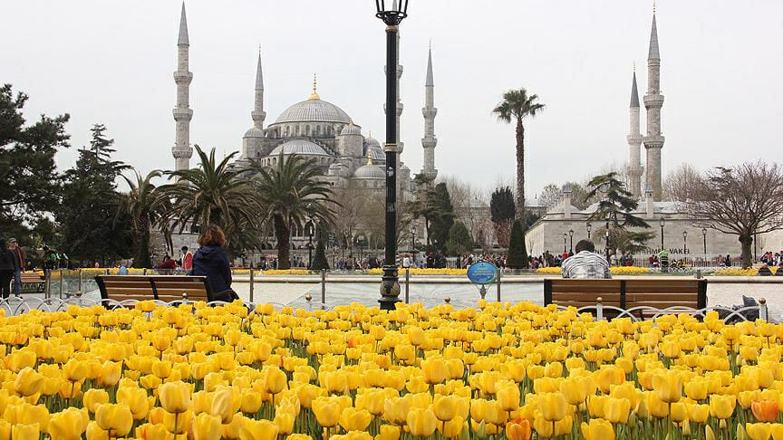 Lale'nin anlamı nedir? Neyi simgeler - Resim : 3