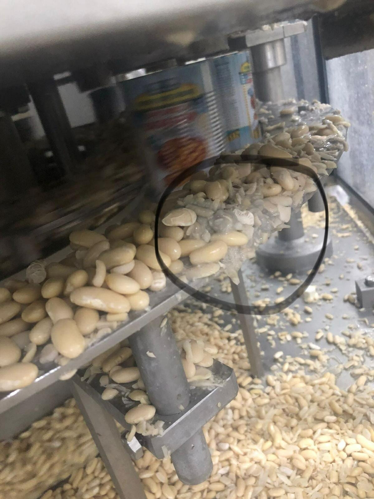 Helal gıda diye bunu mu satıyorsunuz? Mide bulandırıcı... - Resim : 1