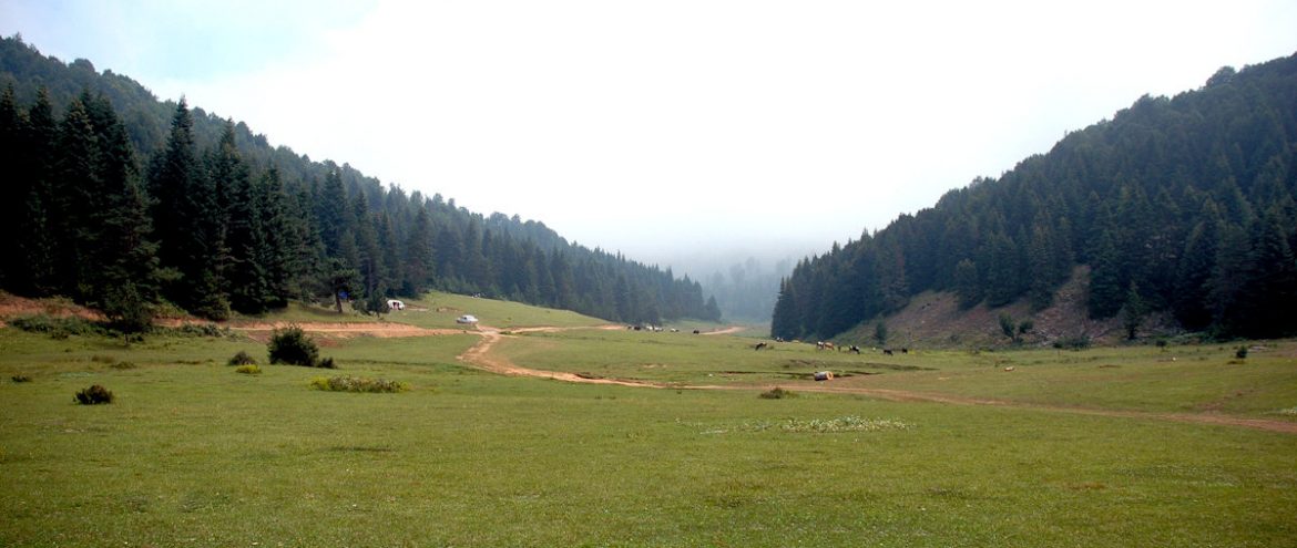 İnönü Yaylası Nerede, Nasıl Gidilir? Özellikleri - Resim : 1