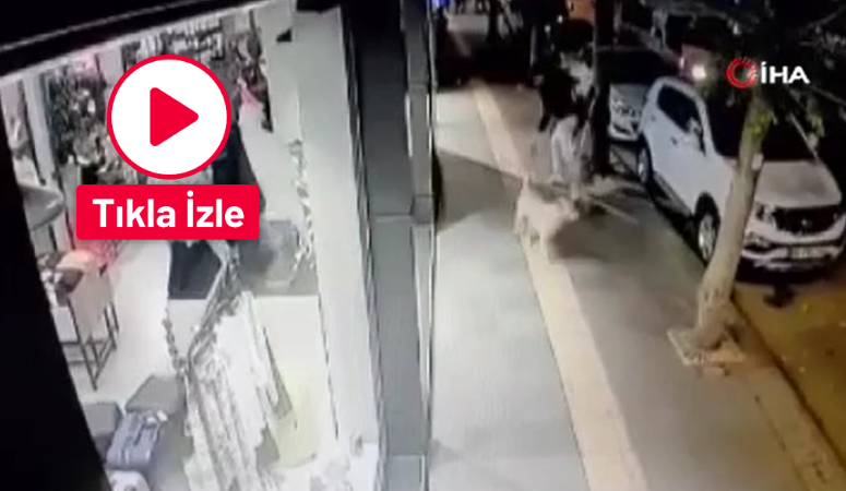 Ankara’da bir gencin başıboş köpeğin saldırısına uğradığı an kamerada