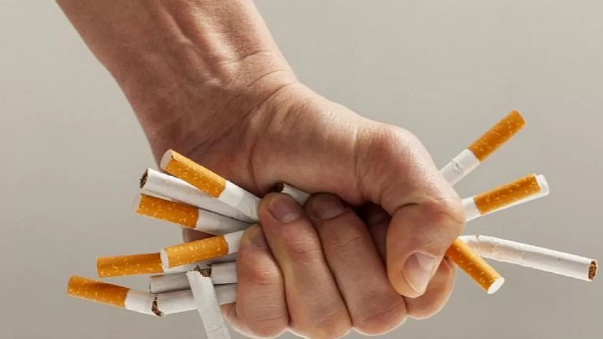 Güncel Sigara Fiyatları 16 Ocak 2024: En Ucuz Sigara Kaç TL? Marlboro Touch Blue, Camel, Winston, LD, Monte Carlo, Philip Morris, Parliament, JTİ Sigara Fiyatları - Resim : 1