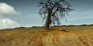 En İyi 9 Nuri Bilge Ceylan Filmi! Nuri Bilge Ceylan’ın En İyi Eserleri - Resim : 8