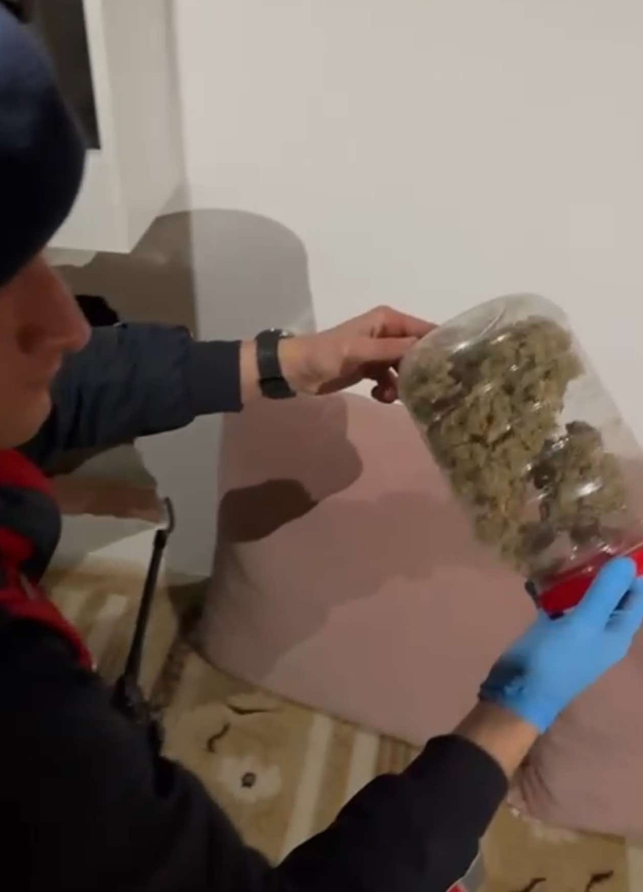 Jandarma ekiplerinden büyük vurgun - Resim : 1