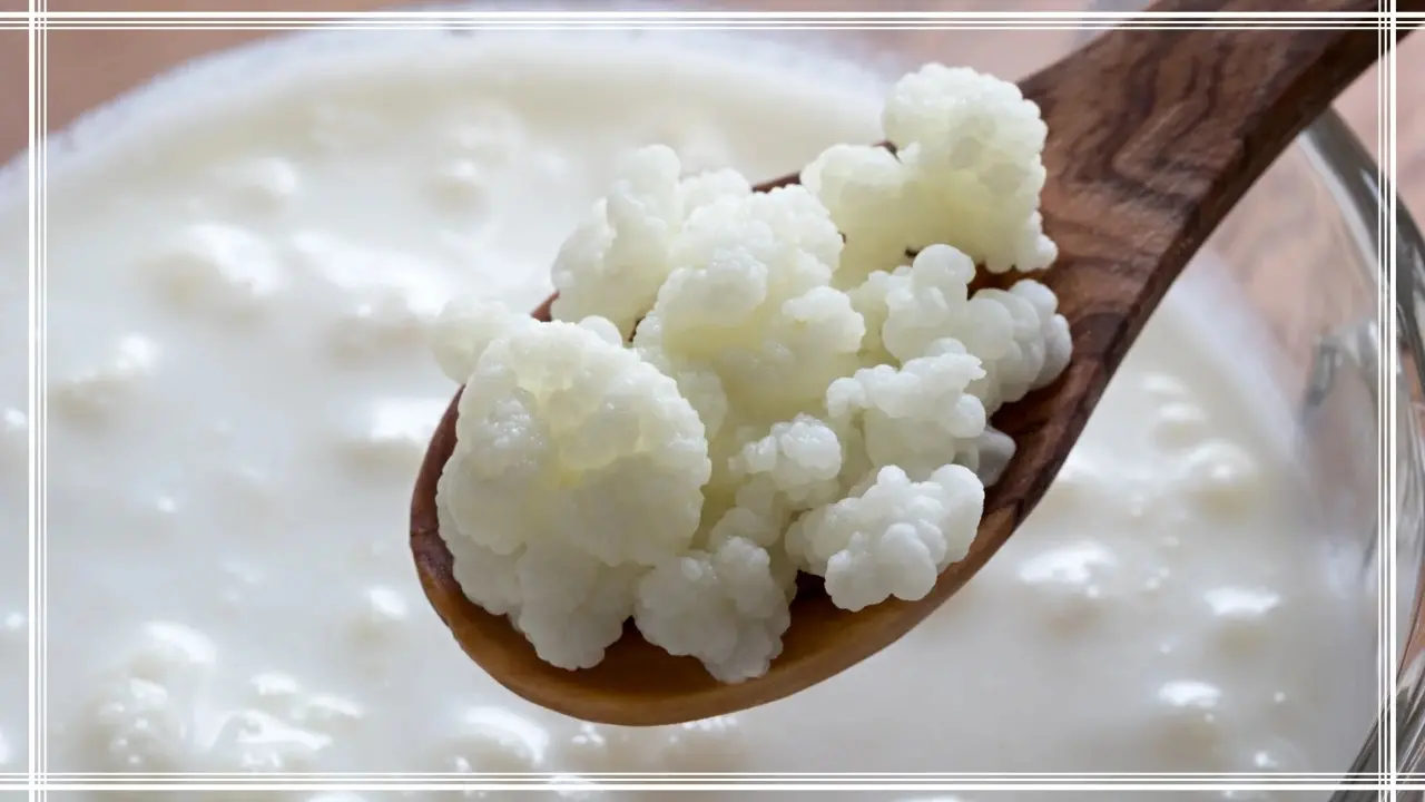 Evde Kefir Nasıl Yapılır? Püf Noktası - Resim : 1