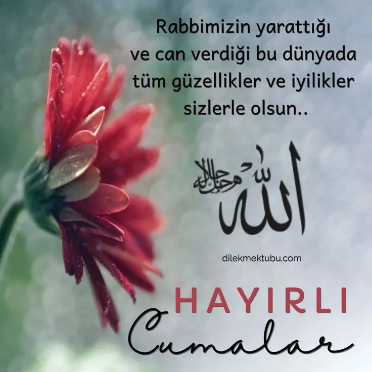 HİÇ GÖRÜLMEMİŞ CUMA MESAJLARI YAZILI, ANLAMLI! Günaydın ve Cuma Mesajları Resimli! Instagram, Facebook, WhatsApp Hadisli, Ayetli Cuma Mesajları - Resim : 1