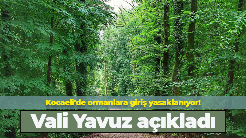 Kocaeli’de ormanlara giriş yasaklanıyor! Vali Yavuz açıkladı