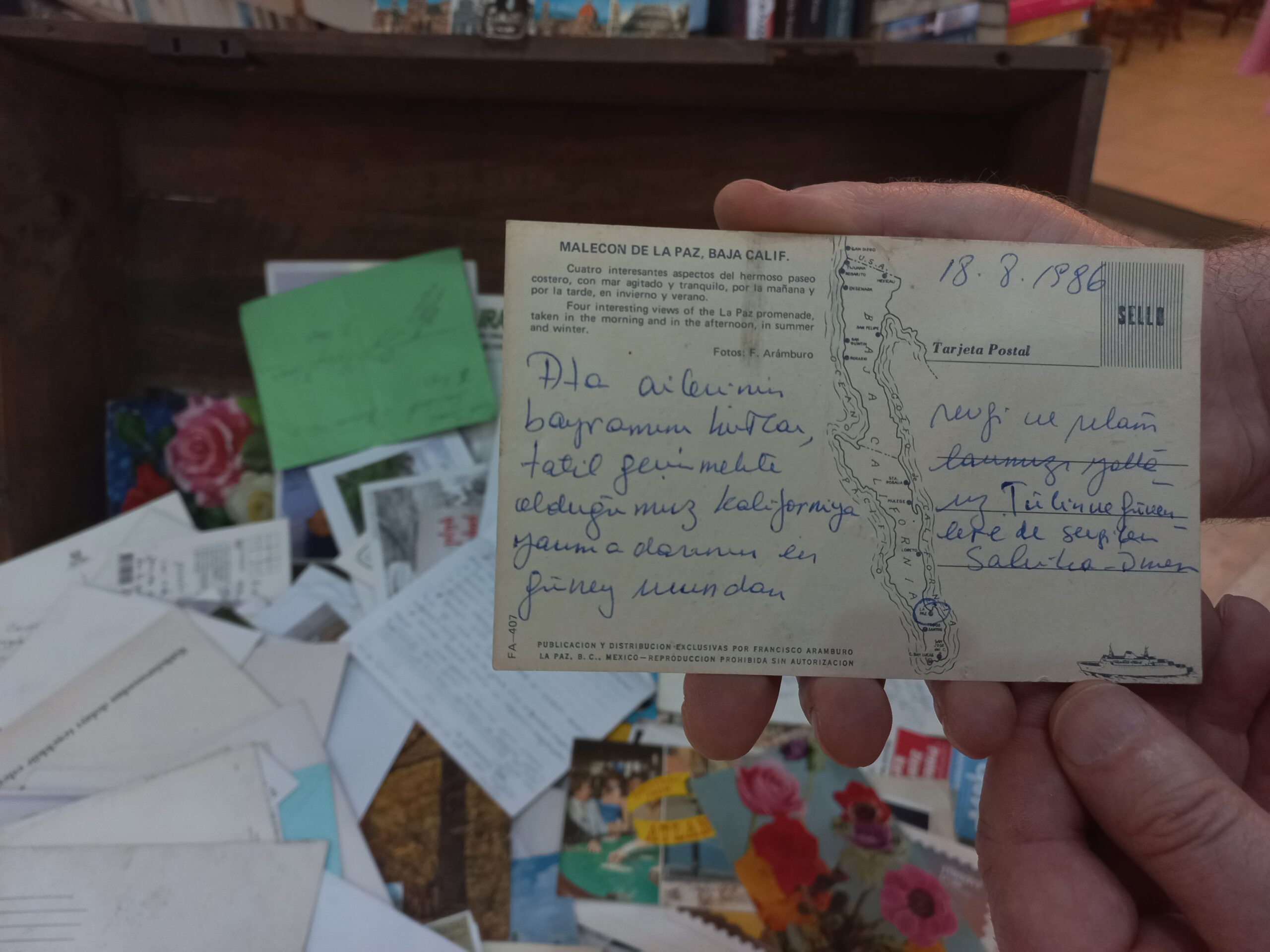 Evinde 300 bin kitap var! Sayfalar arasında unutulanlarla sergi açtı - Resim : 29