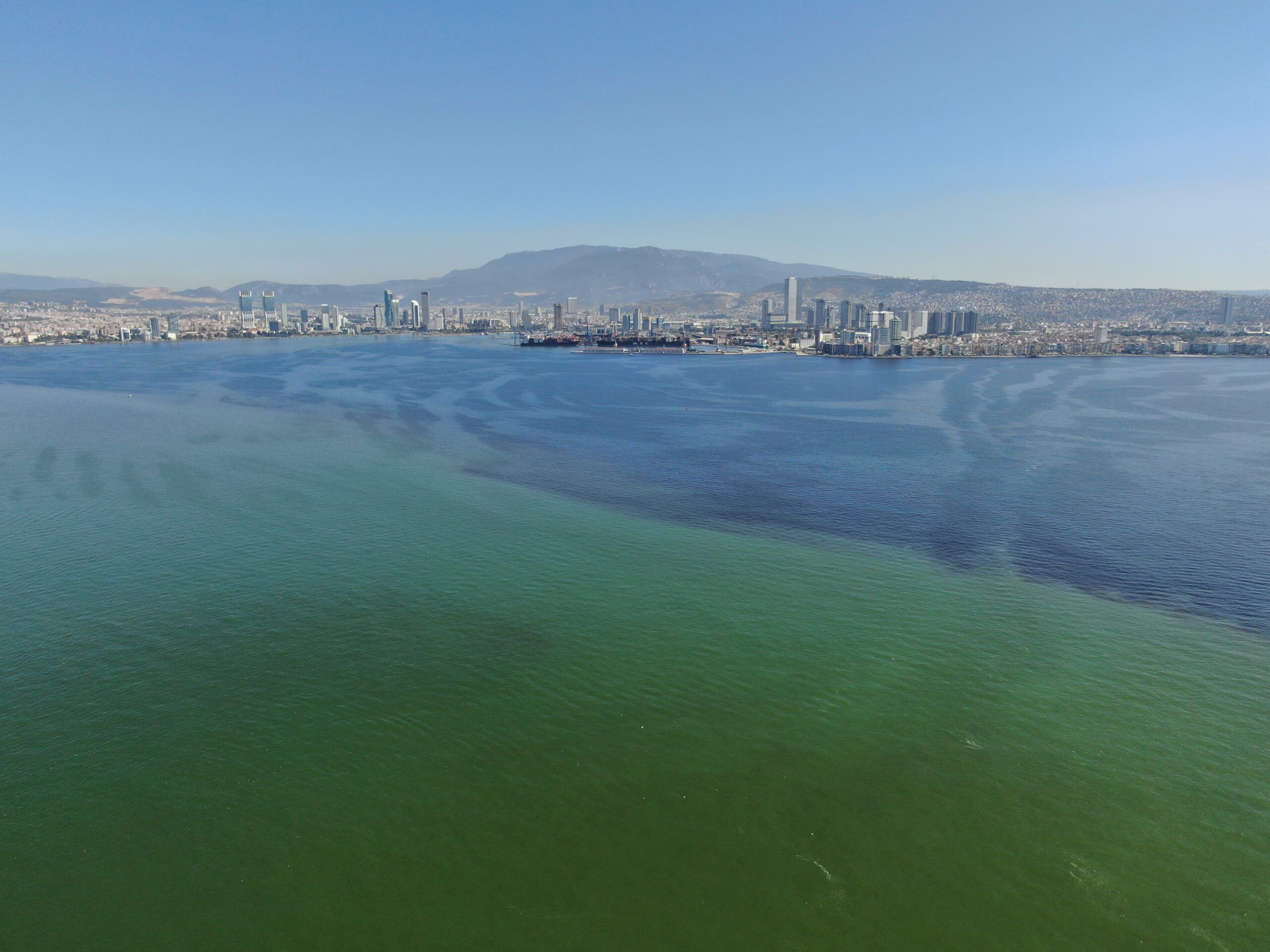 İzmir Körfezi'nde kıyılar ölü balıkla dolu! - Resim : 1