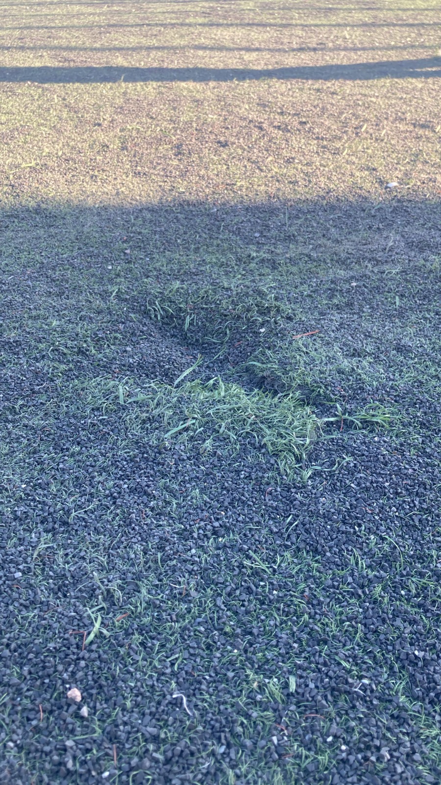 Hereke Stadı’ndaki futbol terörü sürüyor! - Resim : 6