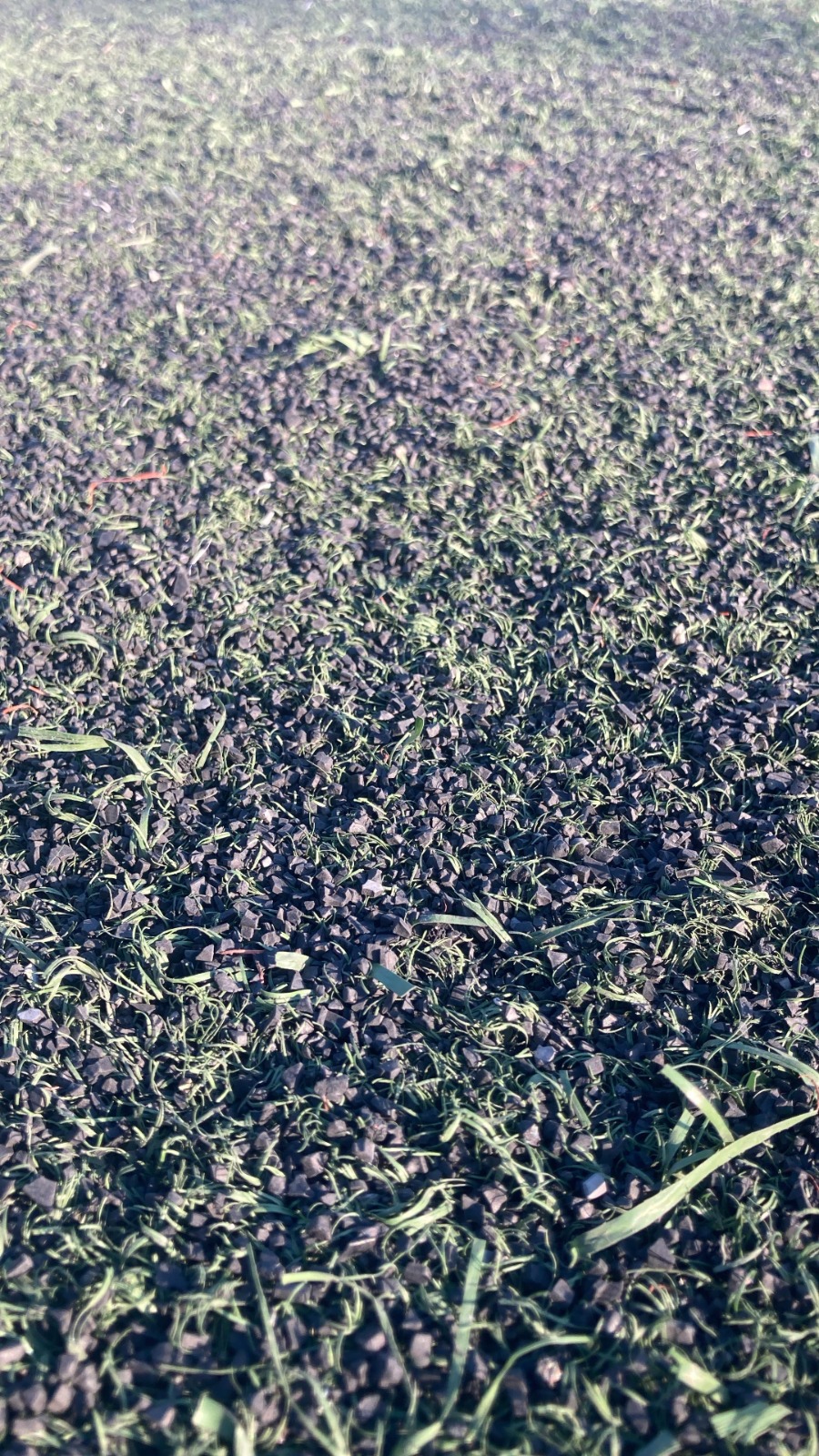 Hereke Stadı’ndaki futbol terörü sürüyor! - Resim : 3