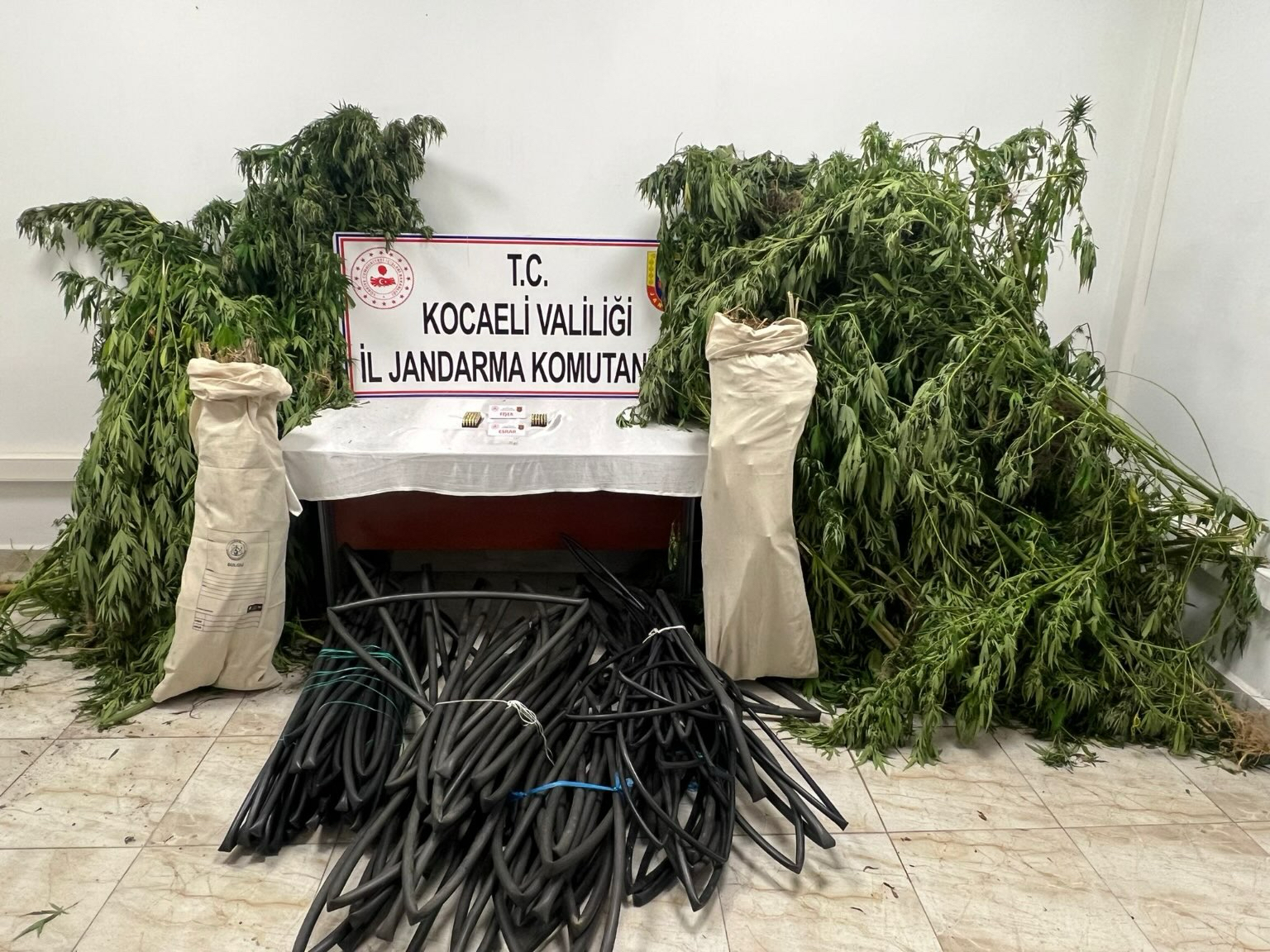 Jandarma'dan operasyon! Hepsi ele geçirildi - Resim : 1