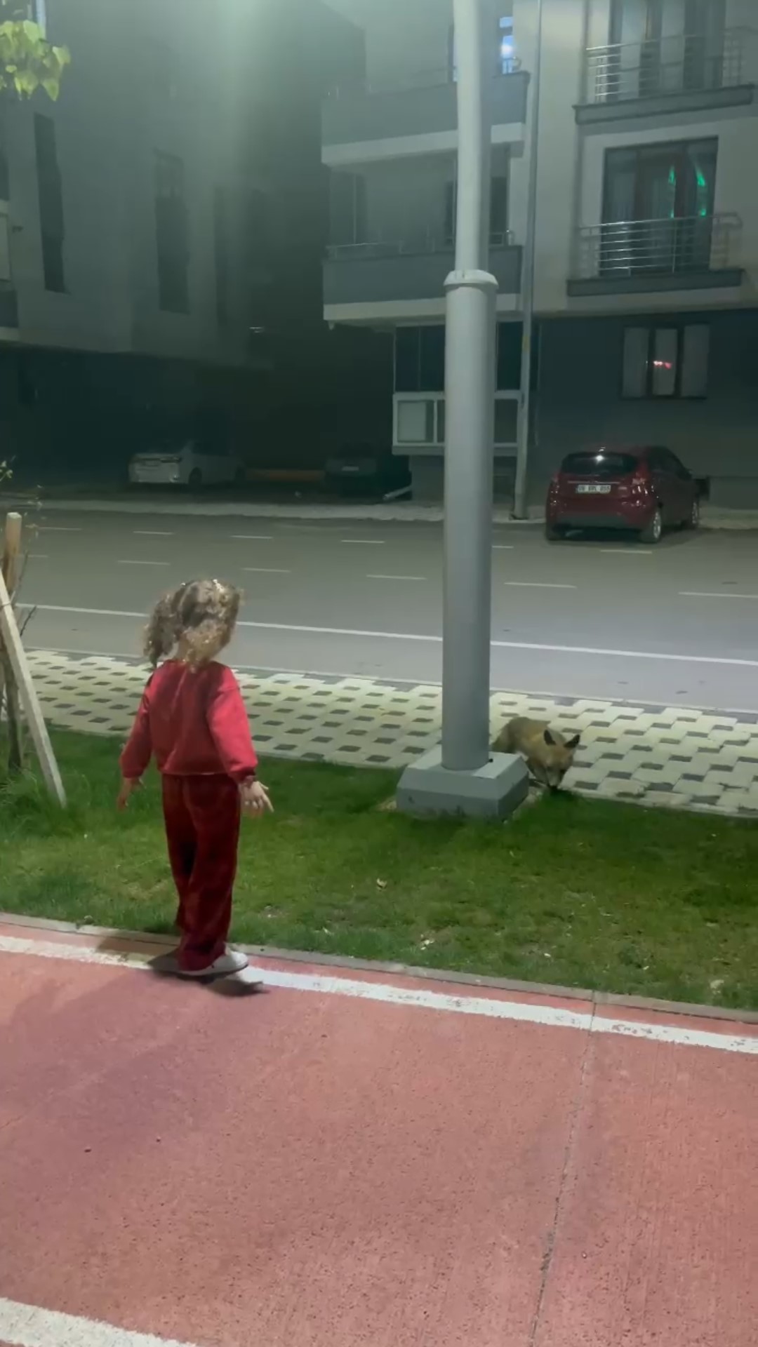 Parkta oyun oynayan çocuğun sürpriz misafiri! - Resim : 3