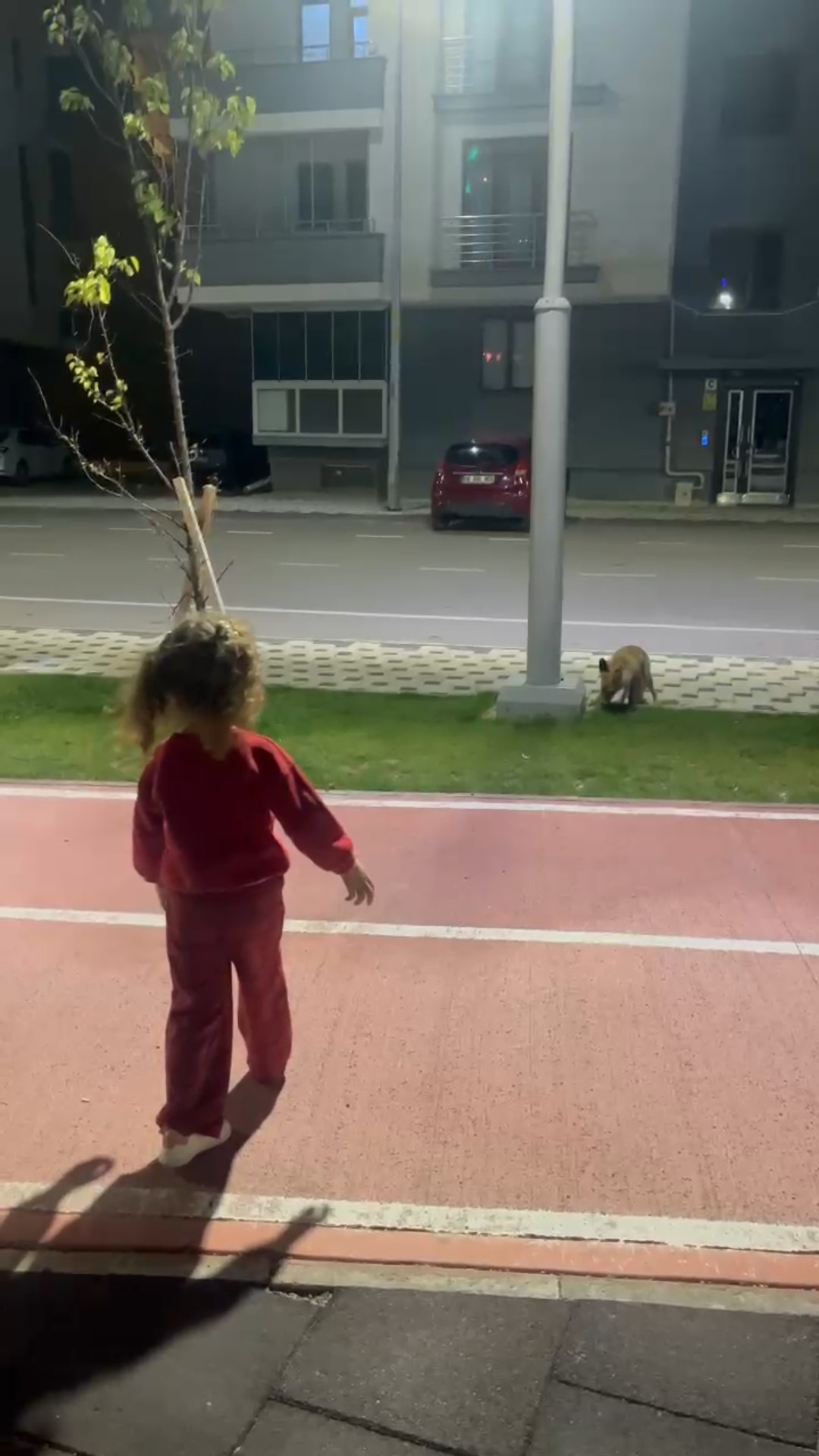 Parkta oyun oynayan çocuğun sürpriz misafiri! - Resim : 2