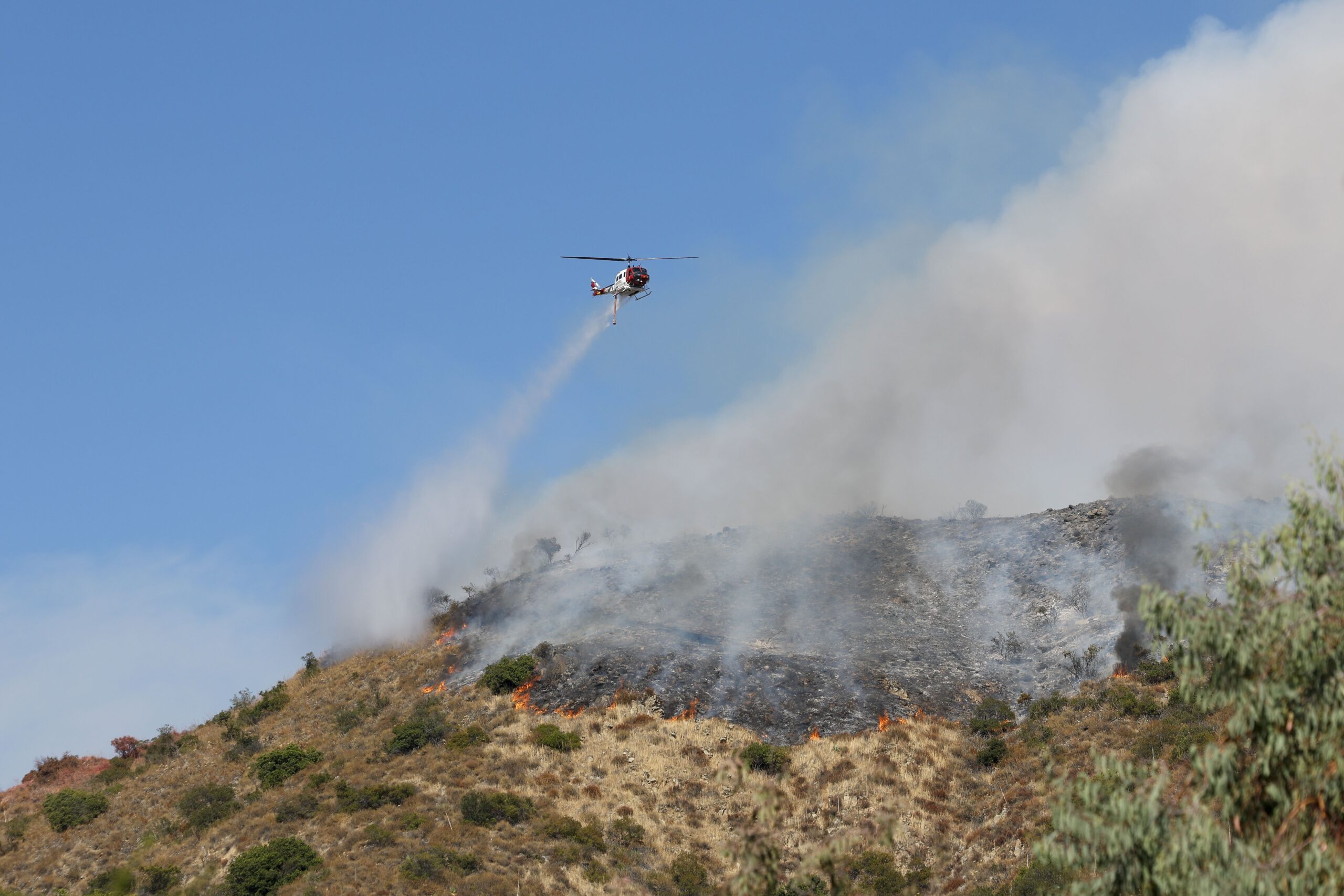 Üç orman yangınında 100 bin dönümden fazla alan kül oldu - Resim : 5