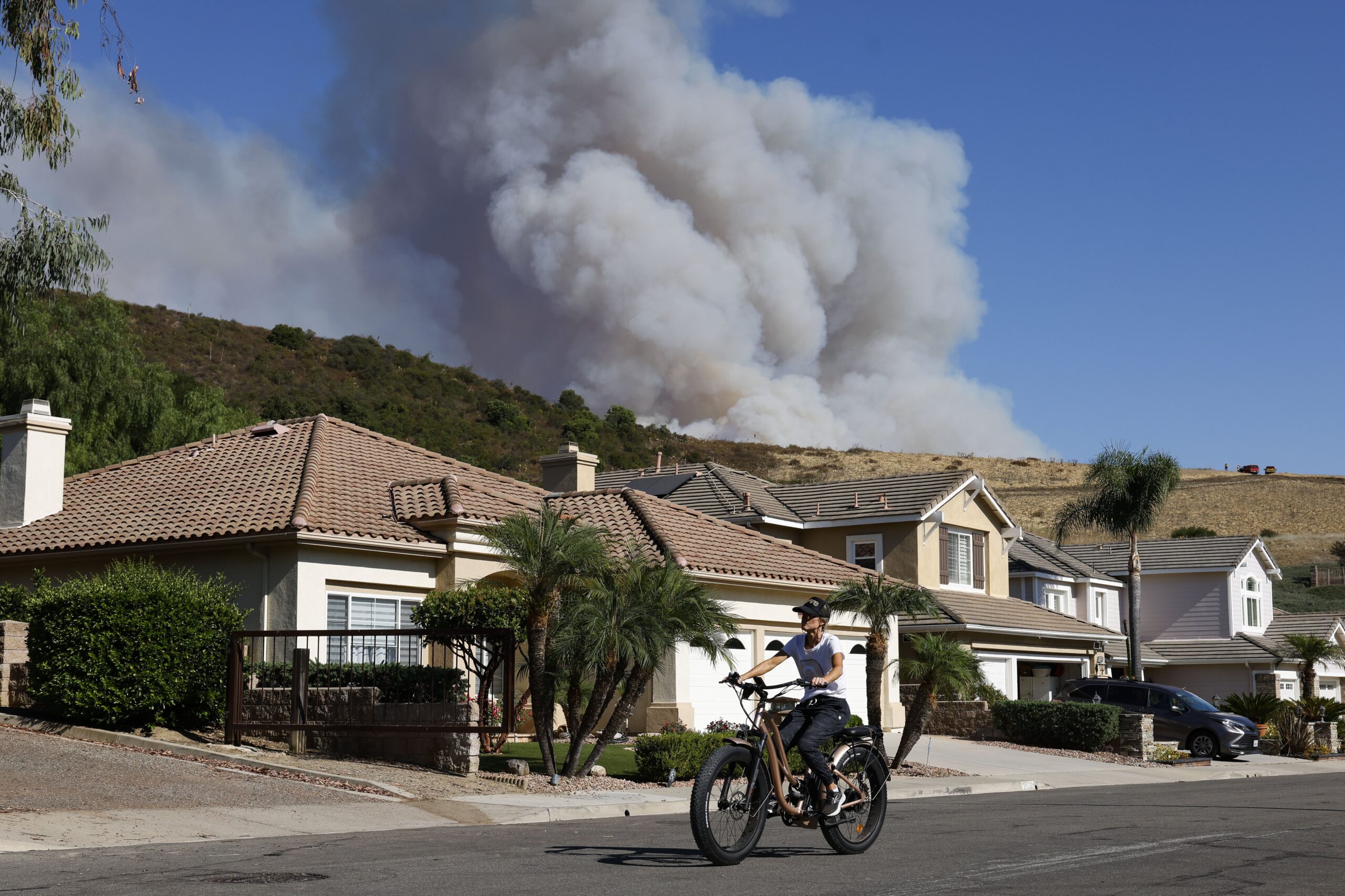 Üç orman yangınında 100 bin dönümden fazla alan kül oldu - Resim : 3