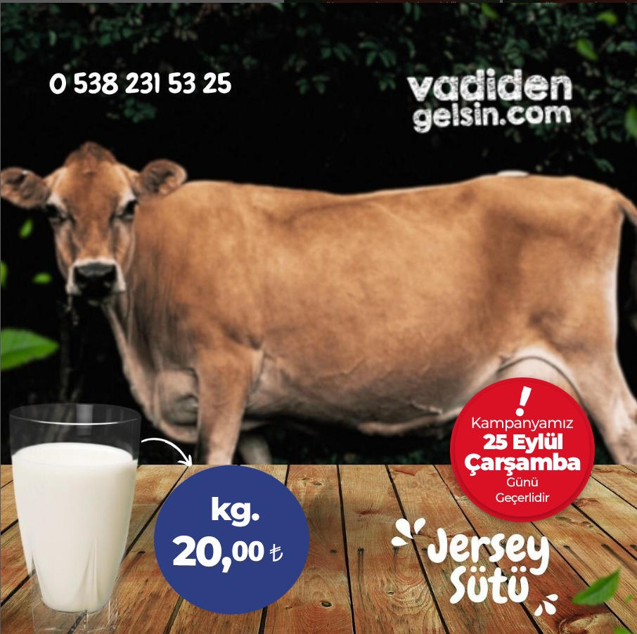 Vadiden dev indirim: Jersey süt sadece 20 TL - Resim : 1
