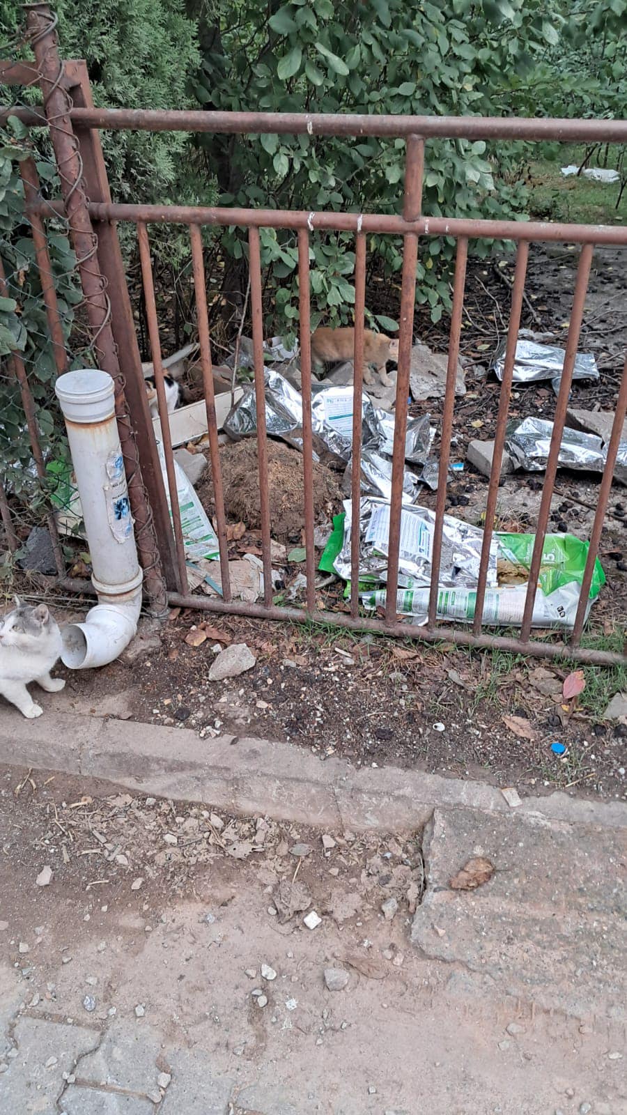 Fatma Kaptan Hürriyet çöp toplama eleştirilerine yanıt! 'Biz her gün 1 milyon kişiye hizmet veriyoruz' - Resim : 8