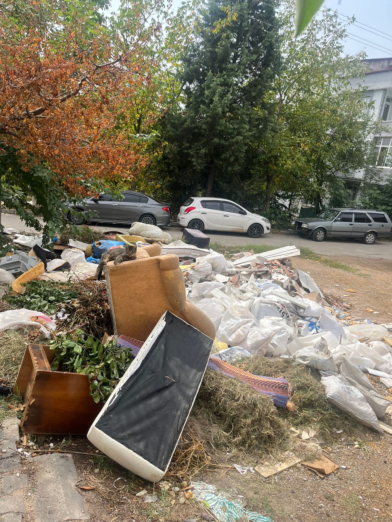 Fatma Kaptan Hürriyet çöp toplama eleştirilerine yanıt! 'Biz her gün 1 milyon kişiye hizmet veriyoruz' - Resim : 18